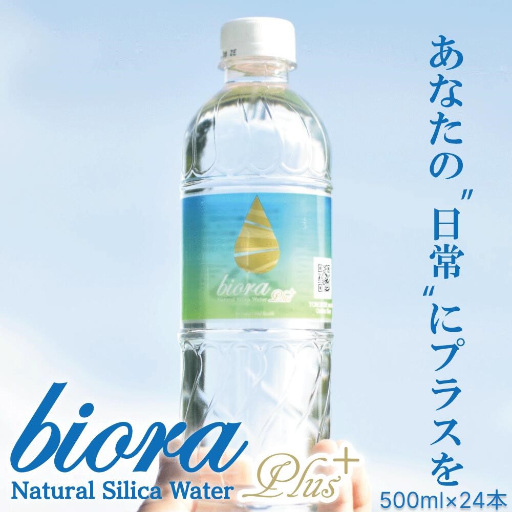 biora シリカプラス 500ml×24本