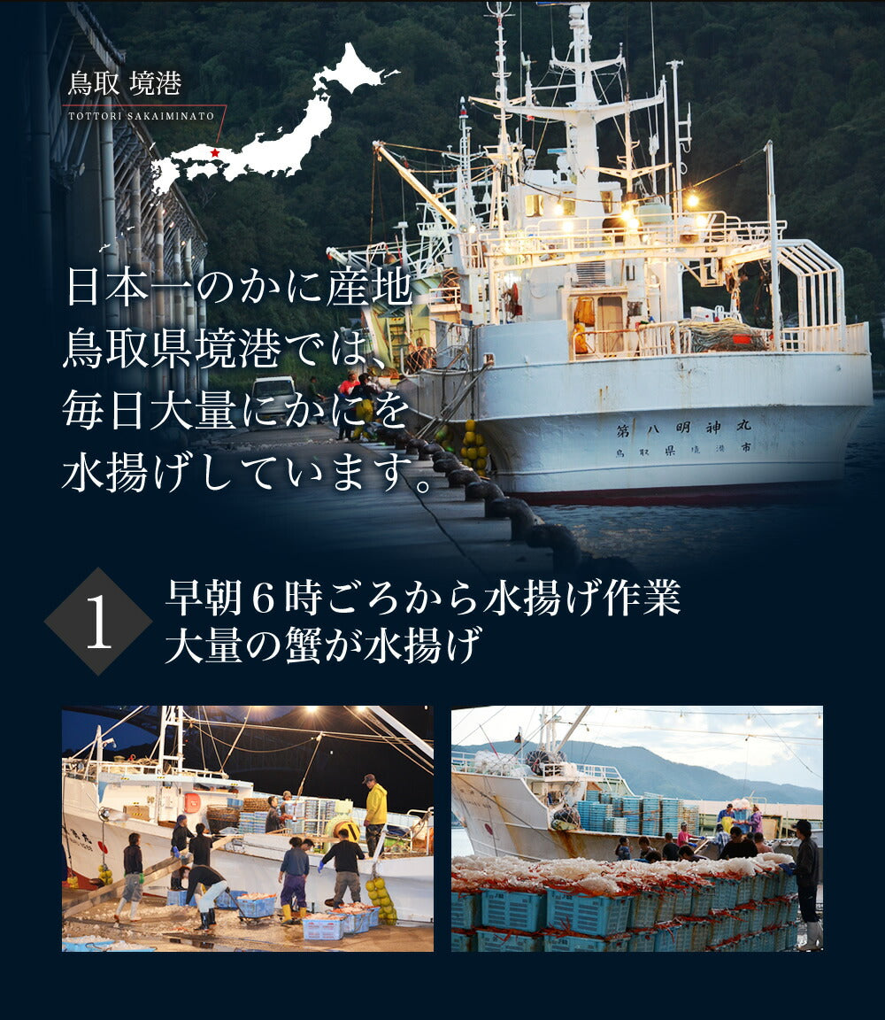 紅ずわい蟹< 冷蔵 >鳥取県境港産ボイル紅ずわい蟹 A級3尾~5尾SET