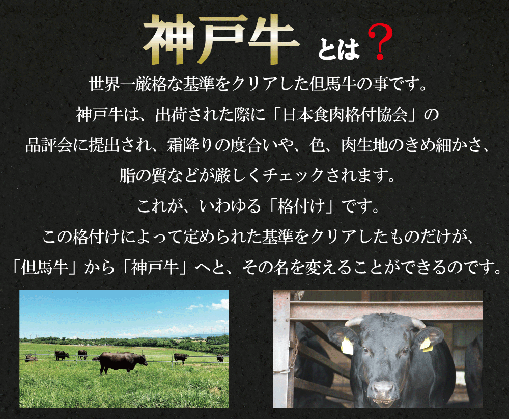 【 A5極みハンバーグ 】神戸プレミアムビーフハンバーグ130g×5P(合計650g)