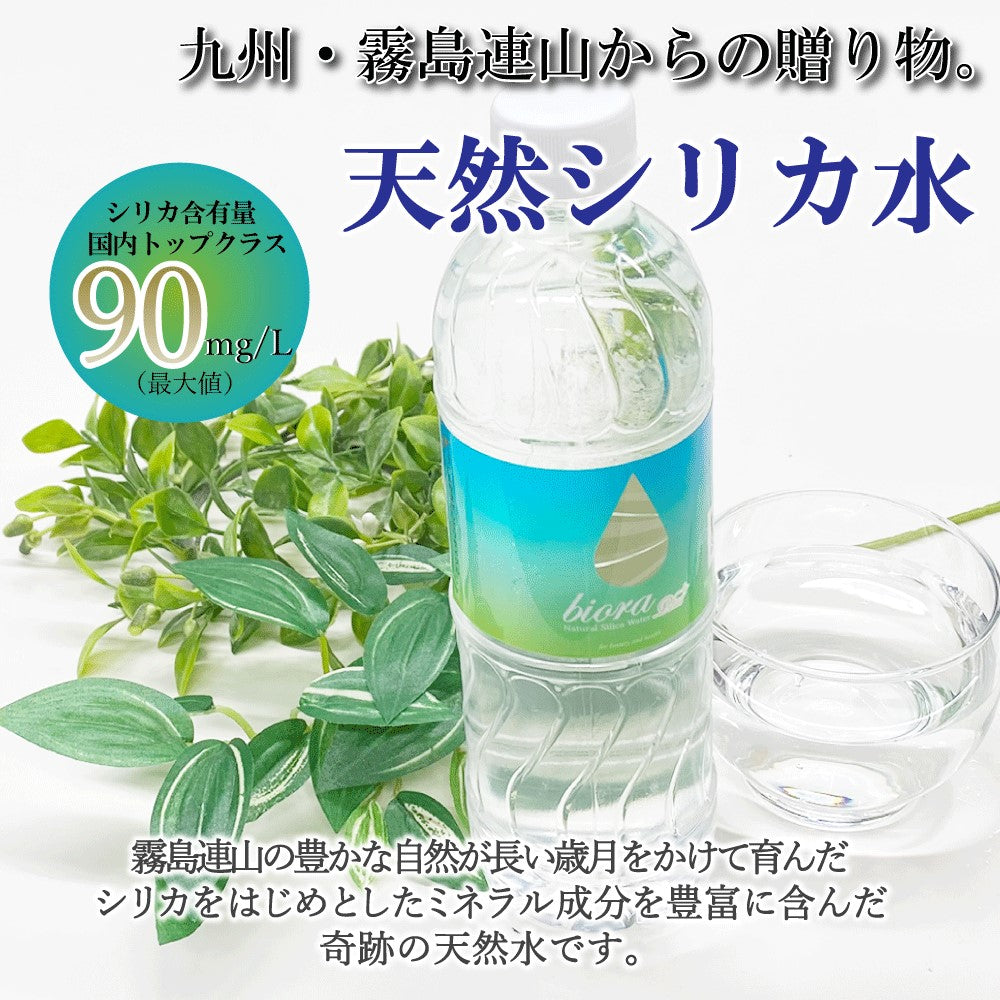 biora シリカプラス 500ml×24本