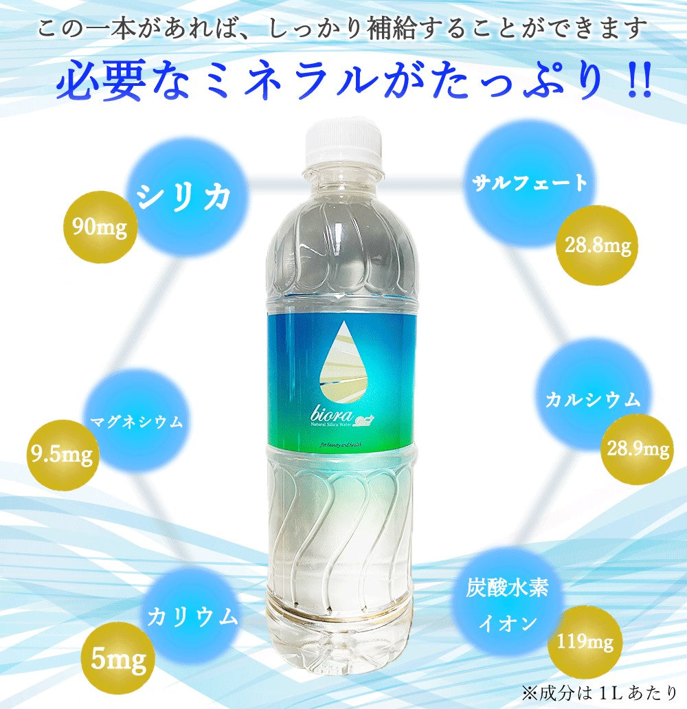 biora シリカプラス 500ml×24本